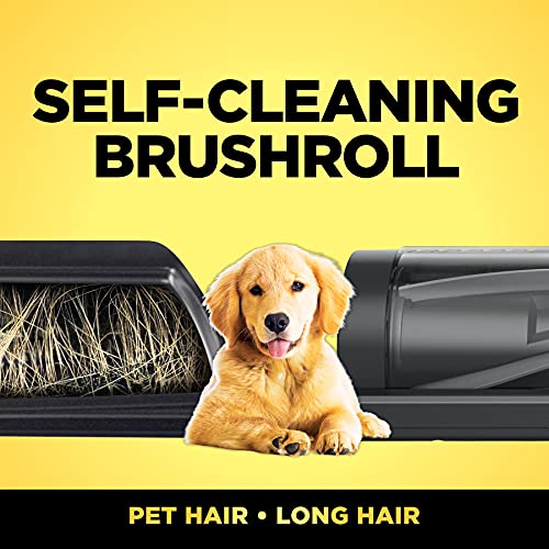 Shark Cordless Vacuum Cleaner, HEPA Filter, Lightweight, Portable, Rechargeable, Pet Hair Pickup, Removable Handheld, Crevice, Upholstery & Dusting Brush Included, 40-min runtime, Red, IZ362H ANM Liquidation