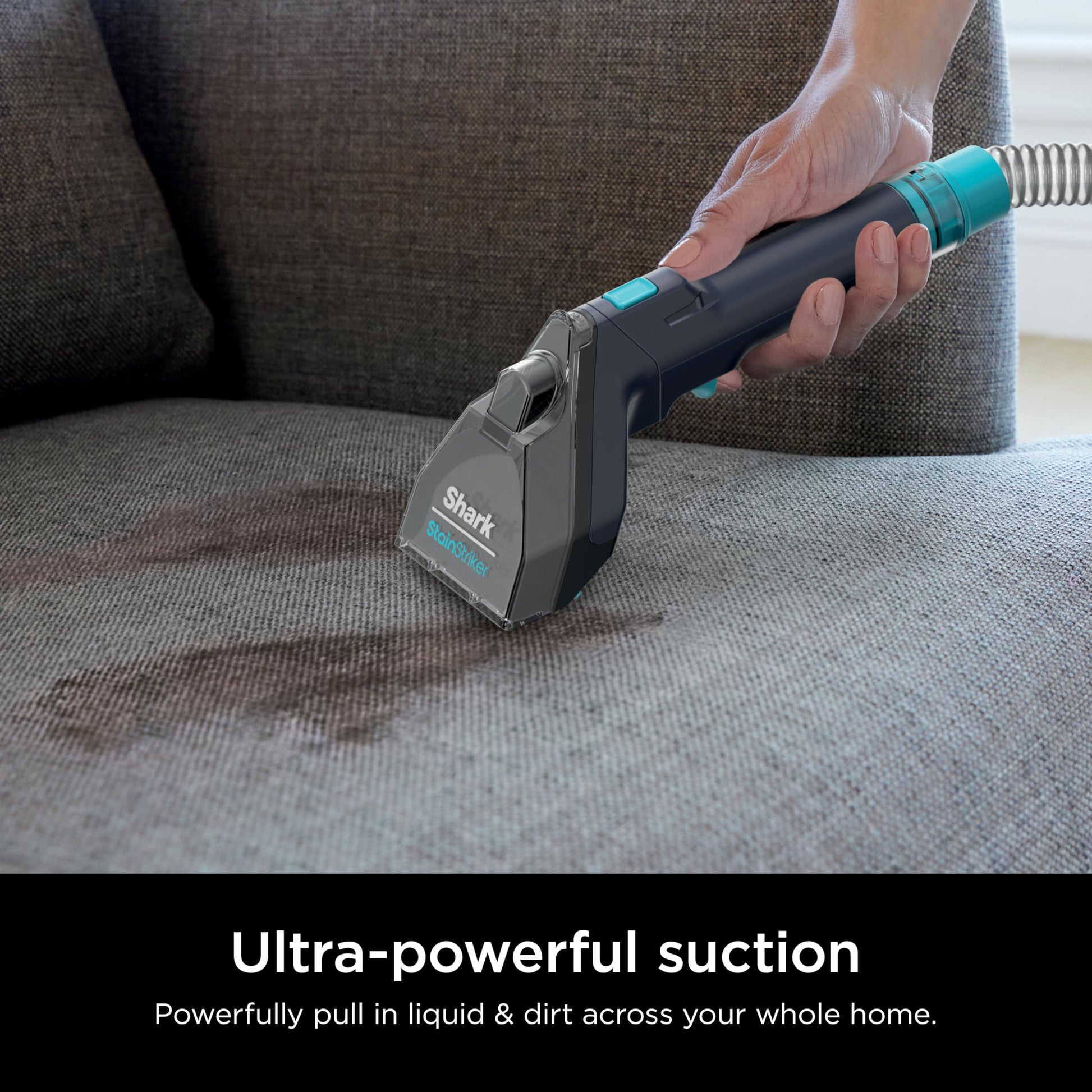 Shark StainStriker Portable Carpet, Upholstery & Area Rug Cleaner with Pet Mess Tool, Stain & Odor Remover, Perfect for Car Interiors, Includes 3 Cleaning Tools & Cleaning Solution, White, PX201 ANM Liquidation