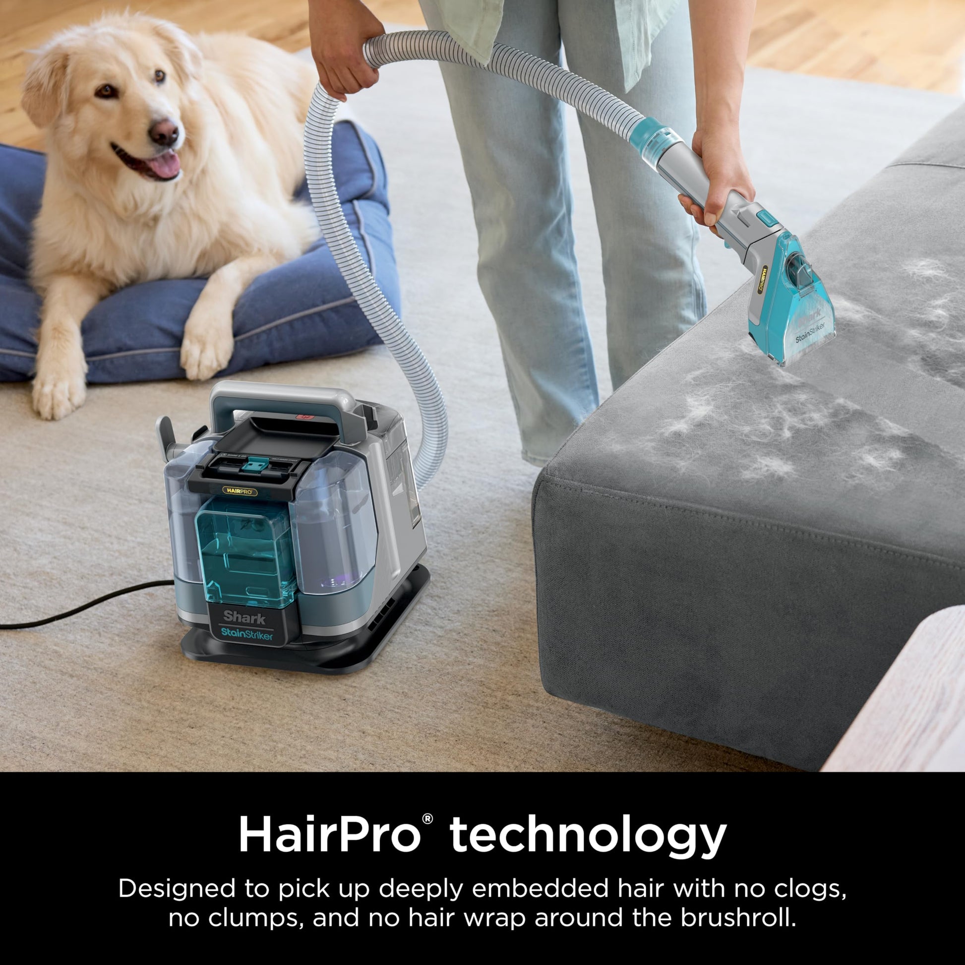 Shark StainStriker Portable Carpet, Upholstery & Area Rug Cleaner with Pet Mess Tool, Stain & Odor Remover, Perfect for Car Interiors, Includes 3 Cleaning Tools & Cleaning Solution, White, PX201 ANM Liquidation