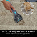 Shark StainStriker Portable Carpet, Upholstery & Area Rug Cleaner with Pet Mess Tool, Stain & Odor Remover, Perfect for Car Interiors, Includes 3 Cleaning Tools & Cleaning Solution, White, PX201 ANM Liquidation