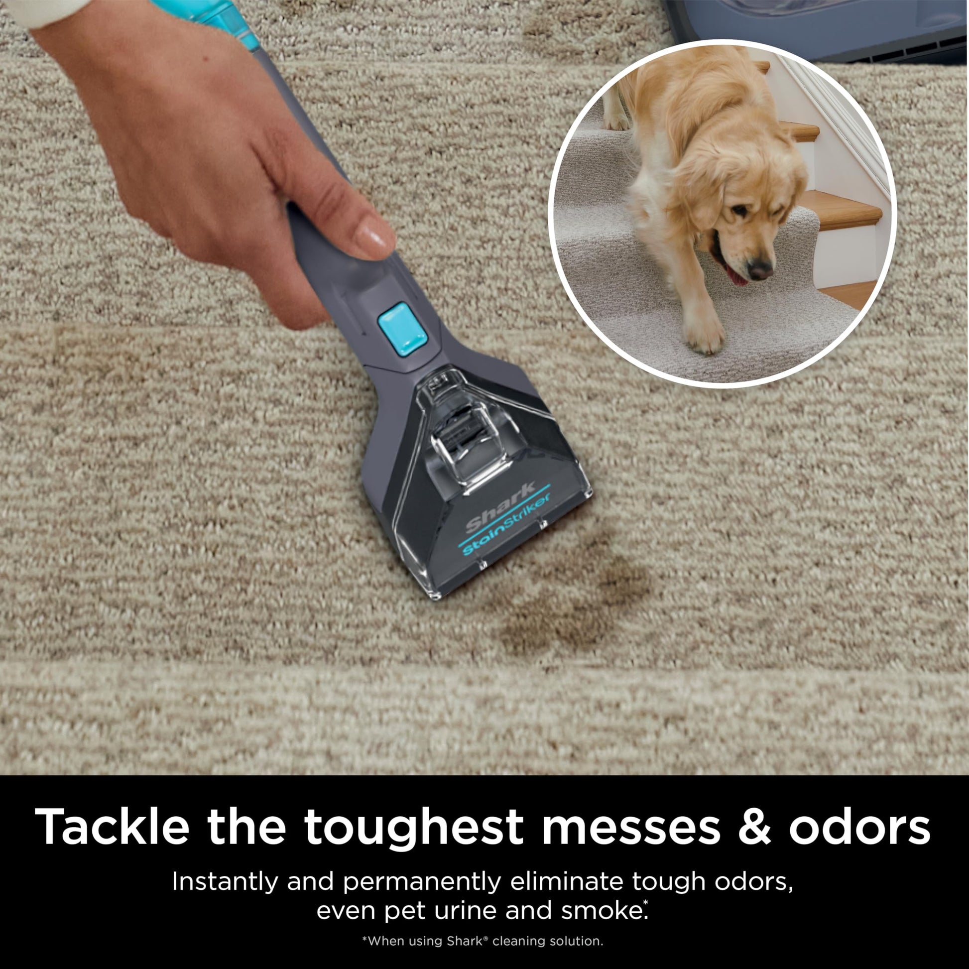Shark StainStriker Portable Carpet, Upholstery & Area Rug Cleaner with Pet Mess Tool, Stain & Odor Remover, Perfect for Car Interiors, Includes 3 Cleaning Tools & Cleaning Solution, White, PX201 ANM Liquidation