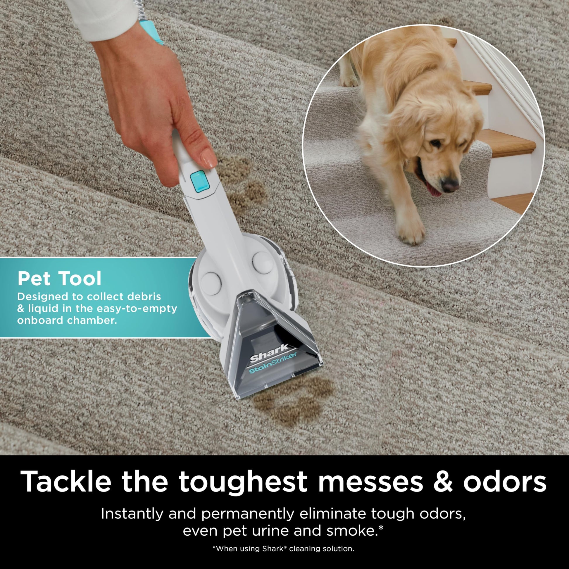 Shark StainStriker Portable Carpet, Upholstery & Area Rug Cleaner with Pet Mess Tool, Stain & Odor Remover, Perfect for Car Interiors, Includes 3 Cleaning Tools & Cleaning Solution, White, PX201 ANM Liquidation