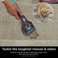 Shark StainStriker Portable Carpet, Upholstery & Area Rug Cleaner with Pet Mess Tool, Stain & Odor Remover, Perfect for Car Interiors, Includes 3 Cleaning Tools & Cleaning Solution, White, PX201 ANM Liquidation