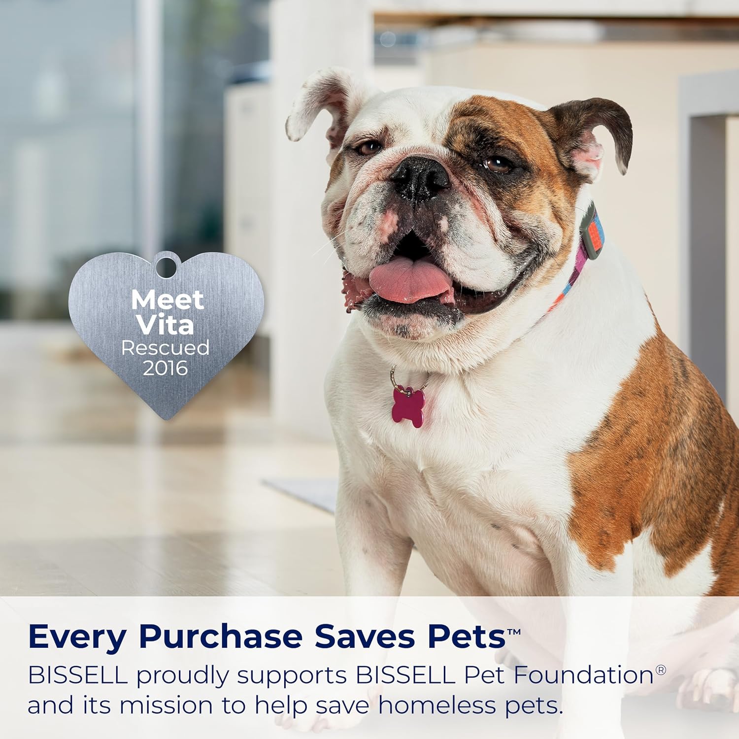 Bissell SpotClean Pet Pro Portable Carpet Cleaner, 2458 ANM Liquidation