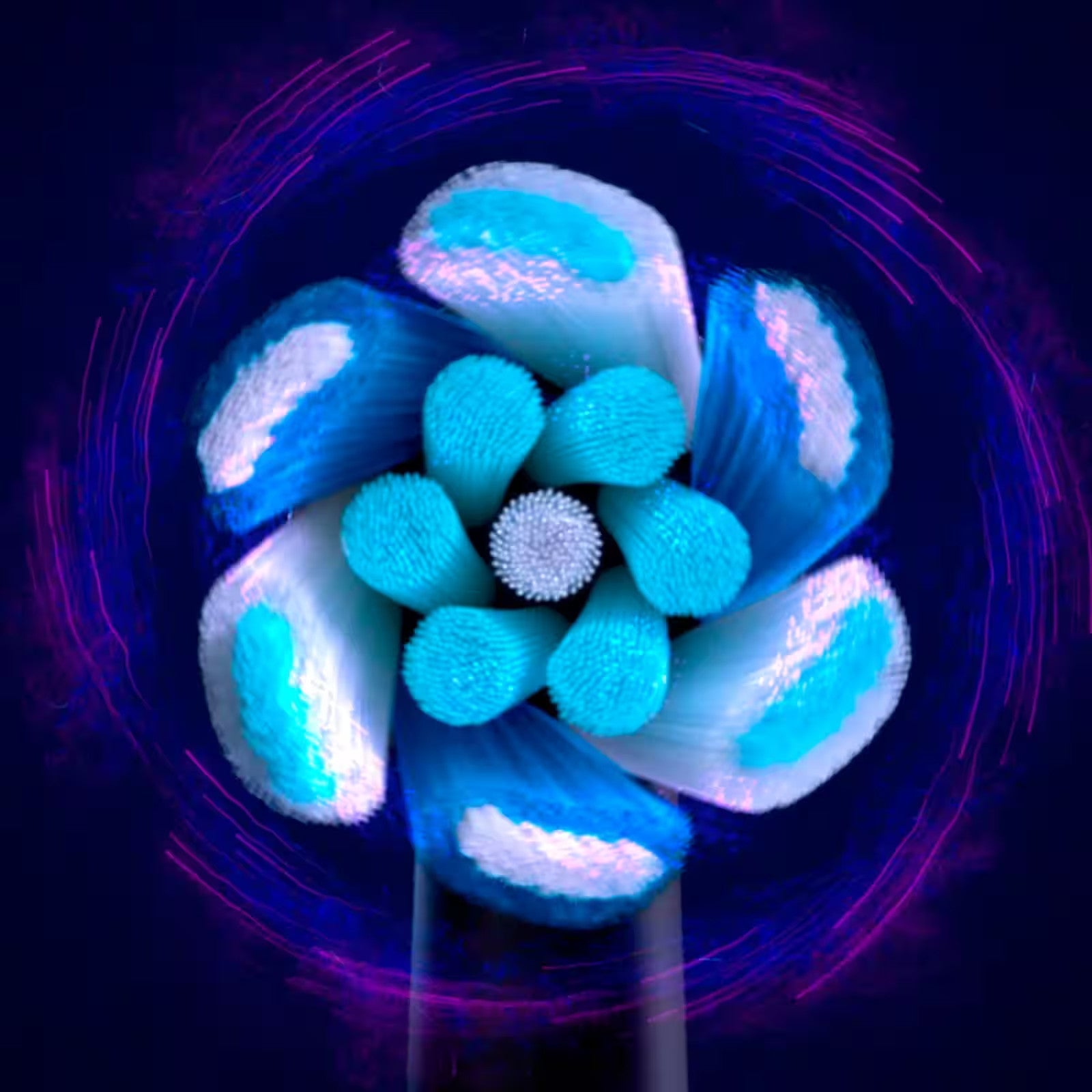 Oral-B - iO Series 7 Connected Rechargeable Electric Toothbrush - Onyx Black ANM Liquidation