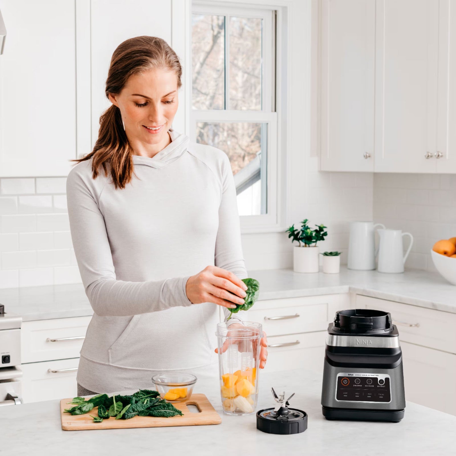 Ninja - Professional Plus Blender DUO with Auto-IQ - Stainless Steel ANM Liquidation