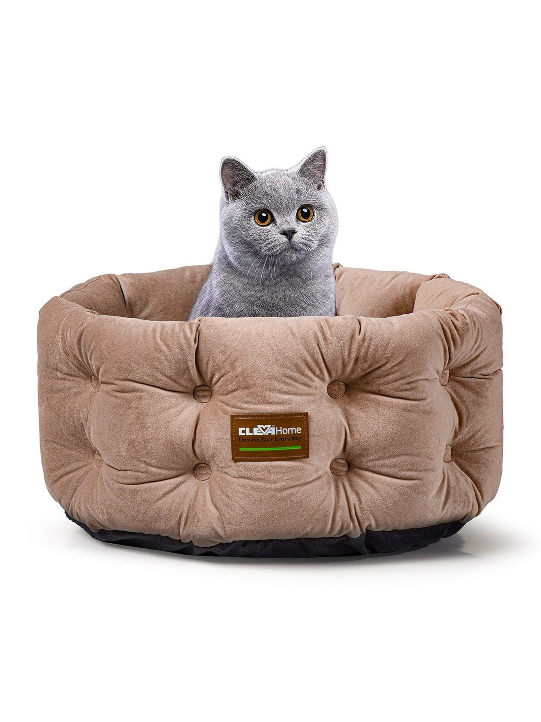 Small Cat Bed for Indoor Cats Soft Washable Pet Bed for Small Dogs ClevaHome